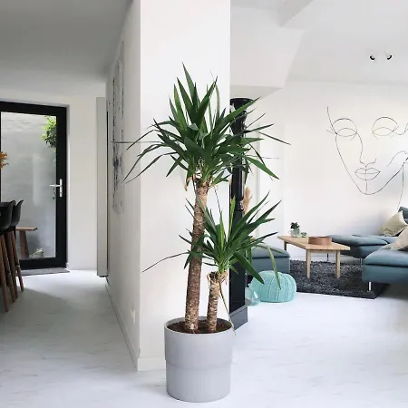 Vakantiehuis Nyaman *