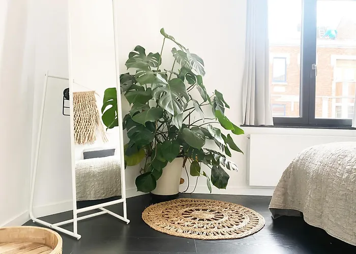 Nyaman * 奥斯滕德