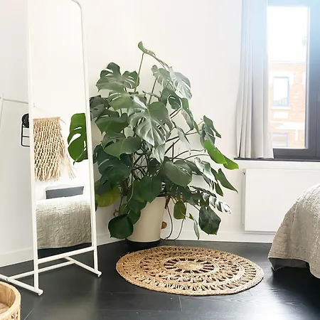 Nyaman * אוסטנדה